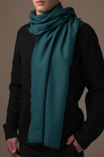 Load image into Gallery viewer, Extrafine Merino Colour Scarf
