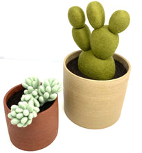 Load image into Gallery viewer, Pair of Handmade Felted Wool Cacti