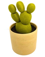 Load image into Gallery viewer, Pair of Handmade Felted Wool Cacti