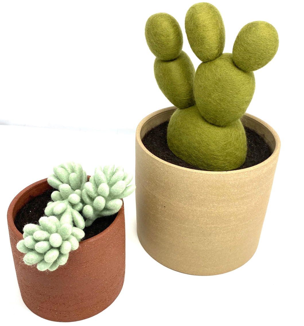 Pair of Handmade Felted Wool Cacti